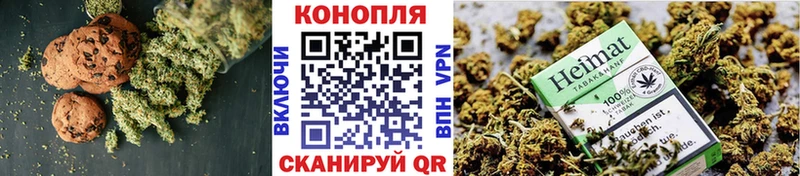 ссылка на мегу маркетплейс  Шенкурск  Печенье с ТГК конопля  продажа наркотиков 