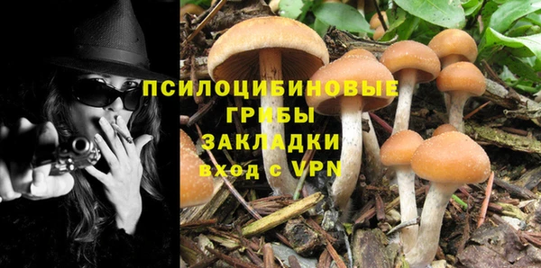кокс Абаза
