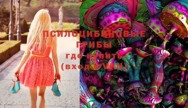 дурь Абинск