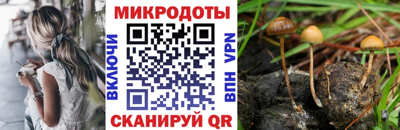 нарко площадка телеграм  дарнет шоп  Шенкурск  Псилоцибиновые грибы ЛСД 