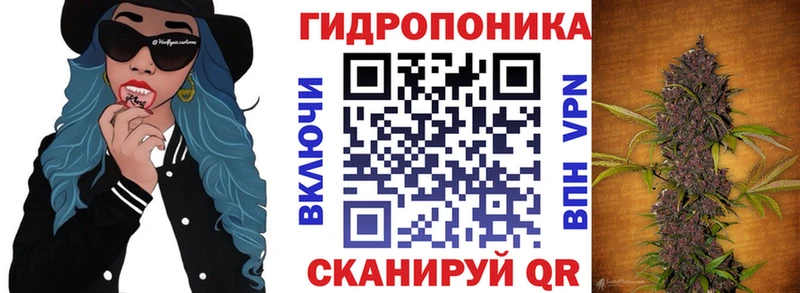 дарнет шоп  Шенкурск  Конопля SATIVA & INDICA 